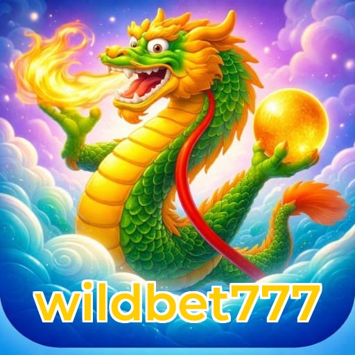 Resumo visual de bônus e campanhas wildbet777